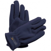 Перчатки Regatta Taz Gloves II RKG024