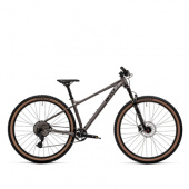 Велосипед Welt Rambler 1.0 29