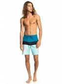 Шорты для плавания Quiksilver EQYBS04658