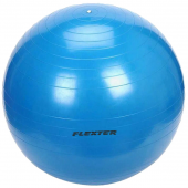 Мяч гимнастический Elexter 65см. FL97403