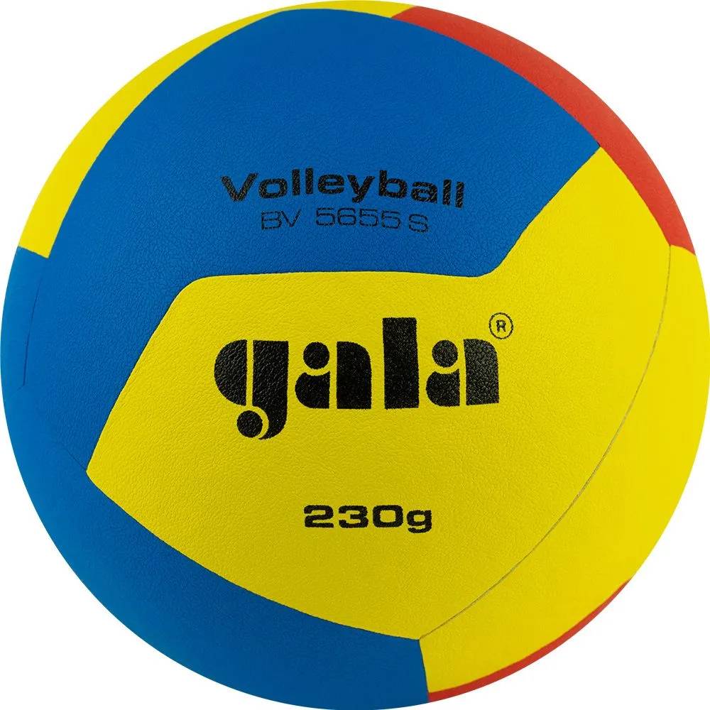 Мяч волейбольный Gala Training 12 №5 BV5655S
