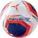 Мяч футбольный Penalty Bola Campo S11 Torneio р.5 5212871712U